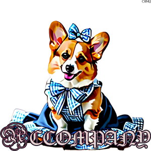 { R[M[  NbVJo[ 45×45cm Aj}   NbV{̕t ` t@