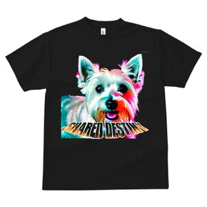 EGXgnChzCgeA TVc fB[X t@  t  vg JWA 킢 lԗp h ̃fUC ʔ EGXgnChzCgeA