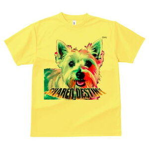 EGXgnChzCgeA TVc fB[X t@  t  vg JWA 킢 lԗp h ̃fUC ʔ EGXgnChzCgeA