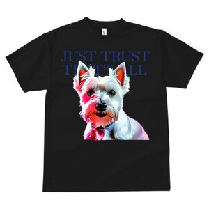 EGXgnChzCgeA TVc fB[X t@  t  vg JWA 킢 lԗp h ̃fUC ʔ EGXgnChzCgeA