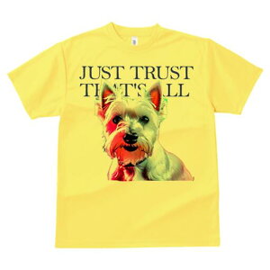 �E�G�X�g�n�C�����h�z���C�g�e���A T�V���c ���f�B�[�X ���t�@�� ���� �t�� ���� �v�����g �J�W���A�� ���킢�� �l�ԗp ���h ���������̃f�U�C�� �ʔ� �E�G�X�g�n�C�����h�z���C�g�e���A