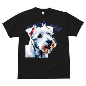 EGXgnChzCgeA TVc fB[X t@  t  vg JWA 킢 lԗp h ̃fUC ʔ EGXgnChzCgeA