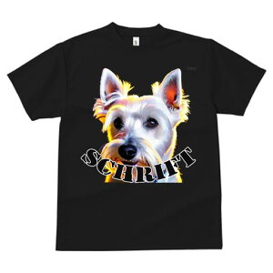 EGXgnChzCgeA TVc fB[X t@  t  vg JWA 킢 lԗp h ̃fUC ʔ EGXgnChzCgeA