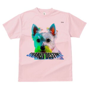 EGXgnChzCgeA TVc fB[X t@  t  vg JWA 킢 lԗp h ̃fUC ʔ EGXgnChzCgeA