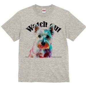 EGXgnChzCgeA TVc fB[X t@  t  vg JWA 킢 lԗp h ̃fUC ʔ EGXgnChzCgeA