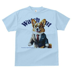 R[M[ TVc fB[X t@  t  vg JWA 킢 lԗp h ̃fUC ʔ X[c R[M[ lN^C Kl