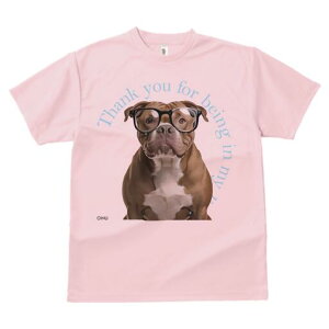 AJsbgueA TVc fB[X t@  t  vg JWA 킢 lԗp h ̃fUC ʔ Kl AJsbgueA