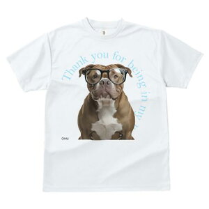 AJsbgueA TVc fB[X t@  t  vg JWA 킢 lԗp h ̃fUC ʔ Kl AJsbgueA