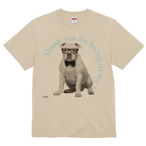 AJuhbO TVc fB[X t@  t  vg JWA 킢 lԗp h ̃fUC ʔ Kl AJuhbO lN^C