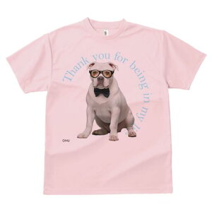 AJuhbO TVc fB[X t@  t  vg JWA 킢 lԗp h ̃fUC ʔ Kl AJuhbO lN^C