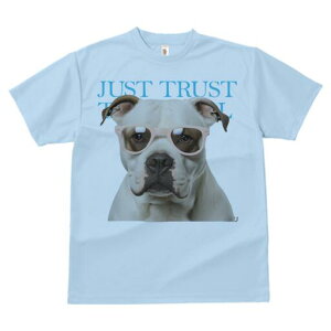 AJuhbO TVc fB[X t@  t  vg JWA 킢 lԗp h ̃fUC ʔ Kl AJuhbO