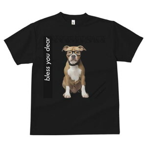 AJsbgueA TVc Y LbY t@  t  vg JWA 킢 lԗp h ̃fUC ʔ Kl AJsbgueA 