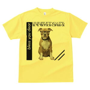 AJsbgueA TVc Y LbY t@  t  vg JWA 킢 lԗp h ̃fUC ʔ Kl AJsbgueA 