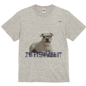 AJuhbO TVc fB[X t@  t  vg JWA 킢 lԗp h ̃fUC ʔ Kl AJuhbO