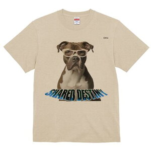 AJsbgueA TVc fB[X t@  t  vg JWA 킢 lԗp h ̃fUC ʔ Kl AJsbgueA