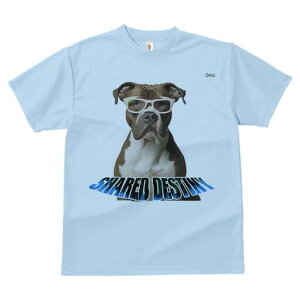 AJsbgueA TVc fB[X t@  t  vg JWA 킢 lԗp h ̃fUC ʔ Kl AJsbgueA