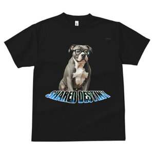 AJsbgueA TVc fB[X t@  t  vg JWA 킢 lԗp h ̃fUC ʔ Kl AJsbgueA