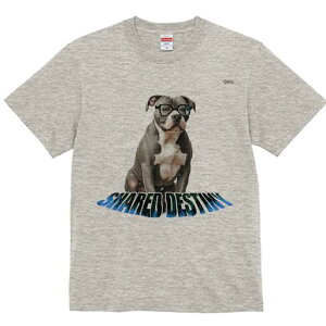 AJsbgueA TVc fB[X t@  t  vg JWA 킢 lԗp h ̃fUC ʔ Kl AJsbgueA