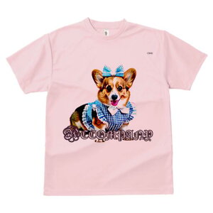 R[M[ TVc fB[X t@  t  vg JWA 킢 lԗp h ̃fUC ʔ MK`FbN R[M[ {