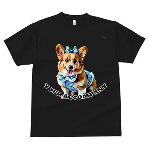 R[M[ TVc fB[X t@  t  vg JWA 킢 lԗp h ̃fUC ʔ  R[M[ {