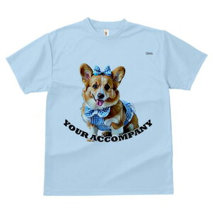 R[M[ TVc fB[X t@  t  vg JWA 킢 lԗp h ̃fUC ʔ  R[M[ {