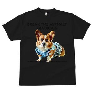 R[M[ TVc fB[X t@  t  vg JWA 킢 lԗp h ̃fUC ʔ  R[M[