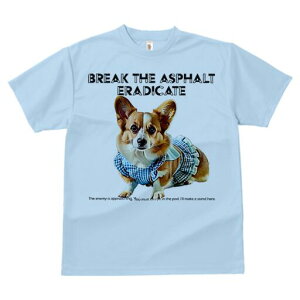 R[M[ TVc fB[X t@  t  vg JWA 킢 lԗp h ̃fUC ʔ  R[M[