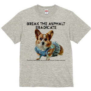 R[M[ TVc fB[X t@  t  vg JWA 킢 lԗp h ̃fUC ʔ  R[M[