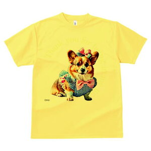 R[M[ TVc fB[X t@  t  vg JWA 킢 lԗp h ̃fUC ʔ { R[M[ `FbN