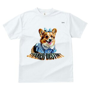 R[M[ TVc fB[X t@  t  vg JWA 킢 lԗp h ̃fUC ʔ  R[M[ {