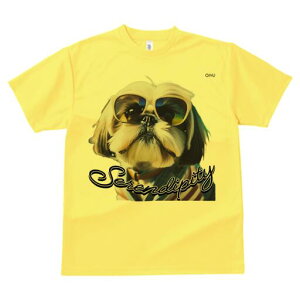 V[Y[ TVc fB[X t@  t  vg JWA 킢 lԗp h ̃fUC ʔ TOX V[Y[ 