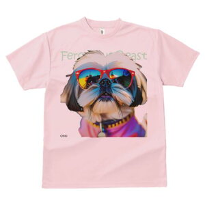 V[Y[ TVc fB[X t@  t  vg JWA 킢 lԗp h ̃fUC ʔ TOX V[Y[ 