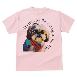 V[Y[ TVc fB[X t@  t  vg JWA 킢 lԗp h ̃fUC ʔ TOX V[Y[ 