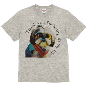 V[Y[ TVc fB[X t@  t  vg JWA 킢 lԗp h ̃fUC ʔ TOX V[Y[ 