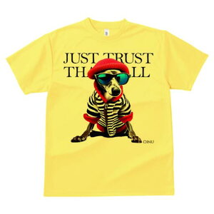 C^AO[nEh TVc fB[X t@  t  vg JWA 킢 lԗp h ̃fUC ʔ TOX C^AO[nEh Xq 