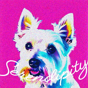 �E�G�X�g�n�C�����h�z���C�g�e���A �N�b�V�����J�o�[ 45×45cm �A�j�}���� ������� ���� �N�b�V�����{�̕t�� �����` ���t�@��