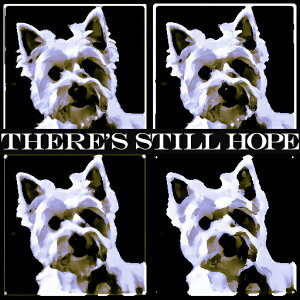 �E�G�X�g�n�C�����h�z���C�g�e���A �N�b�V�����J�o�[ 45×45cm �A�j�}���� ������� ���� �N�b�V�����{�̕t�� �����` ���t�@��