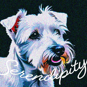 EGXgnChzCgeA NbVJo[ 45×45cm Aj}   NbV{̕t ` t@