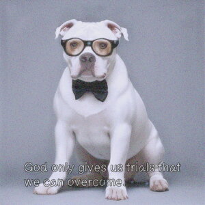 Kl AJuhbO lN^C NbVJo[ 45×45cm Aj}   NbV{̕t ` t@