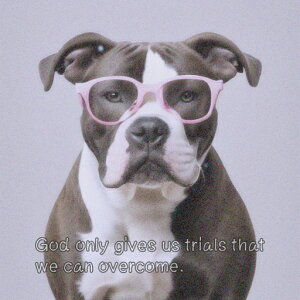 Kl AJsbgueA NbVJo[ 45×45cm Aj}   NbV{̕t ` t@