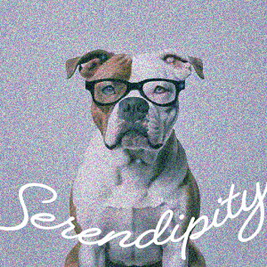 Kl AJuhbO NbVJo[ 45×45cm Aj}   NbV{̕t ` t@