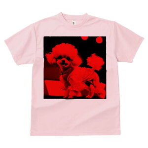 gCv[h TVc fB[X t@  t  vg JWA 킢 lԗp h ̃fUC ʔ  gCv[h t