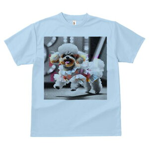 gCv[h TVc fB[X t@  t  vg JWA 킢 lԗp h ̃fUC ʔ  gCv[h hbOEFA