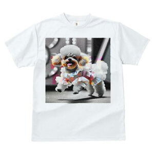 gCv[h TVc fB[X t@  t  vg JWA 킢 lԗp h ̃fUC ʔ  gCv[h hbOEFA