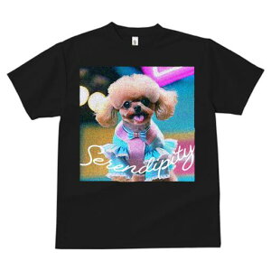 gCv[h TVc fB[X t@  t  vg JWA 킢 lԗp h ̃fUC ʔ { gCv[h 