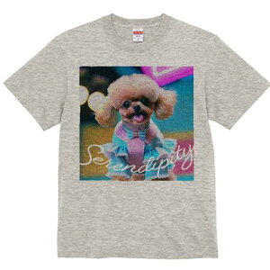 gCv[h TVc fB[X t@  t  vg JWA 킢 lԗp h ̃fUC ʔ { gCv[h 