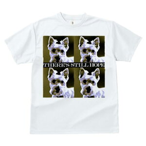 EGXgnChzCgeA TVc fB[X t@  t  vg JWA 킢 lԗp h ̃fUC ʔ EGXgnChzCgeA