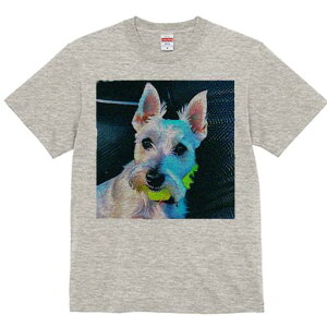 EGXgnChzCgeA TVc Y LbY t@  t  vg JWA 킢 lԗp h ̃fUC ʔ ejX{[ EGXgnC