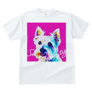 EGXgnChzCgeA TVc fB[X t@  t  vg JWA 킢 lԗp h ̃fUC ʔ EGXgnChzCgeA