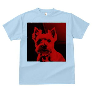 EGXgnChzCgeA TVc fB[X t@  t  vg JWA 킢 lԗp h ̃fUC ʔ EGXgnChzCgeA